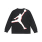 ジュニア(130-170cm) Tシャツ JORDAN(ジョーダン) JDB AJB LABEL LS-TEE