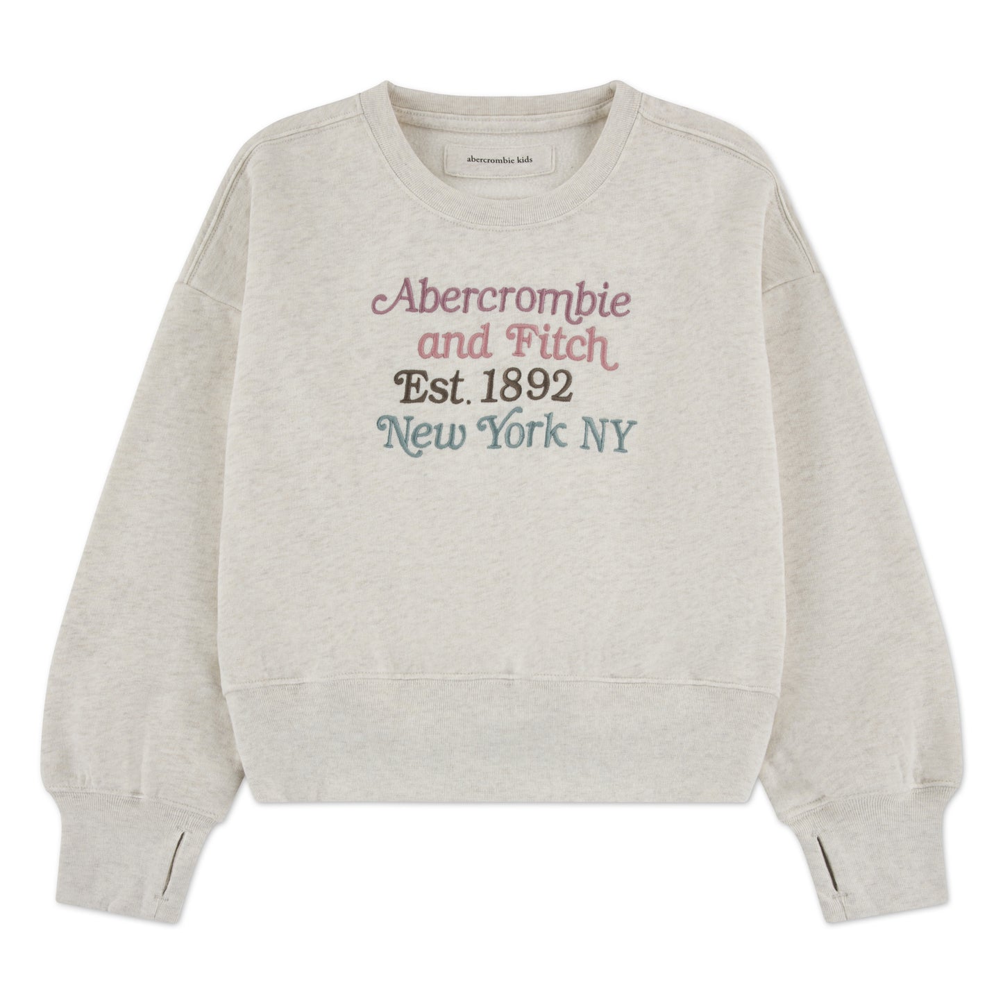 【110-170cm】 トレーナー/パーカー A&F(アバクロンビー&フィッチ) AFG MULTICOLOR LOGO CREW