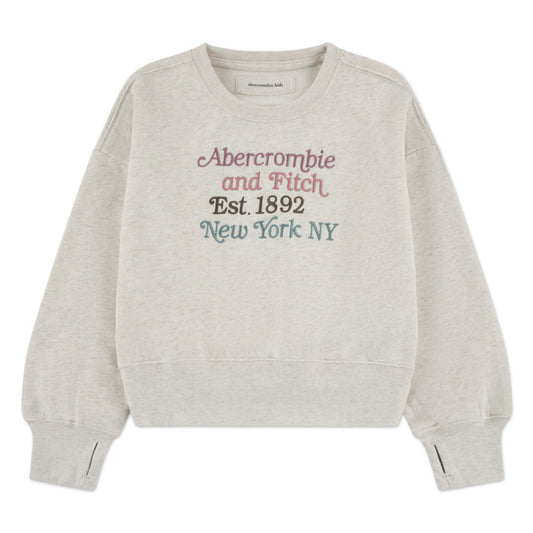 【110-170cm】 トレーナー/パーカー A&F(アバクロンビー&フィッチ) AFG MULTICOLOR LOGO CREW