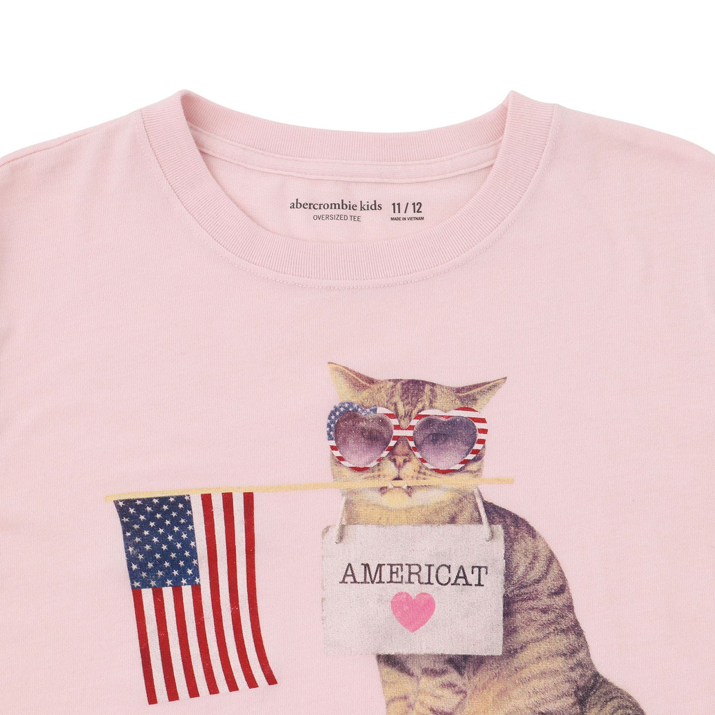 【110-170cm】  A&F(アバクロンビー&フィッチ) 半袖Tシャツ AFG AMERICAT OVERSIZE TEE