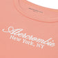 【110-170cm】  A&F(アバクロンビー&フィッチ) 半袖Tシャツ AFB CORE SCRIPT BABY TEE