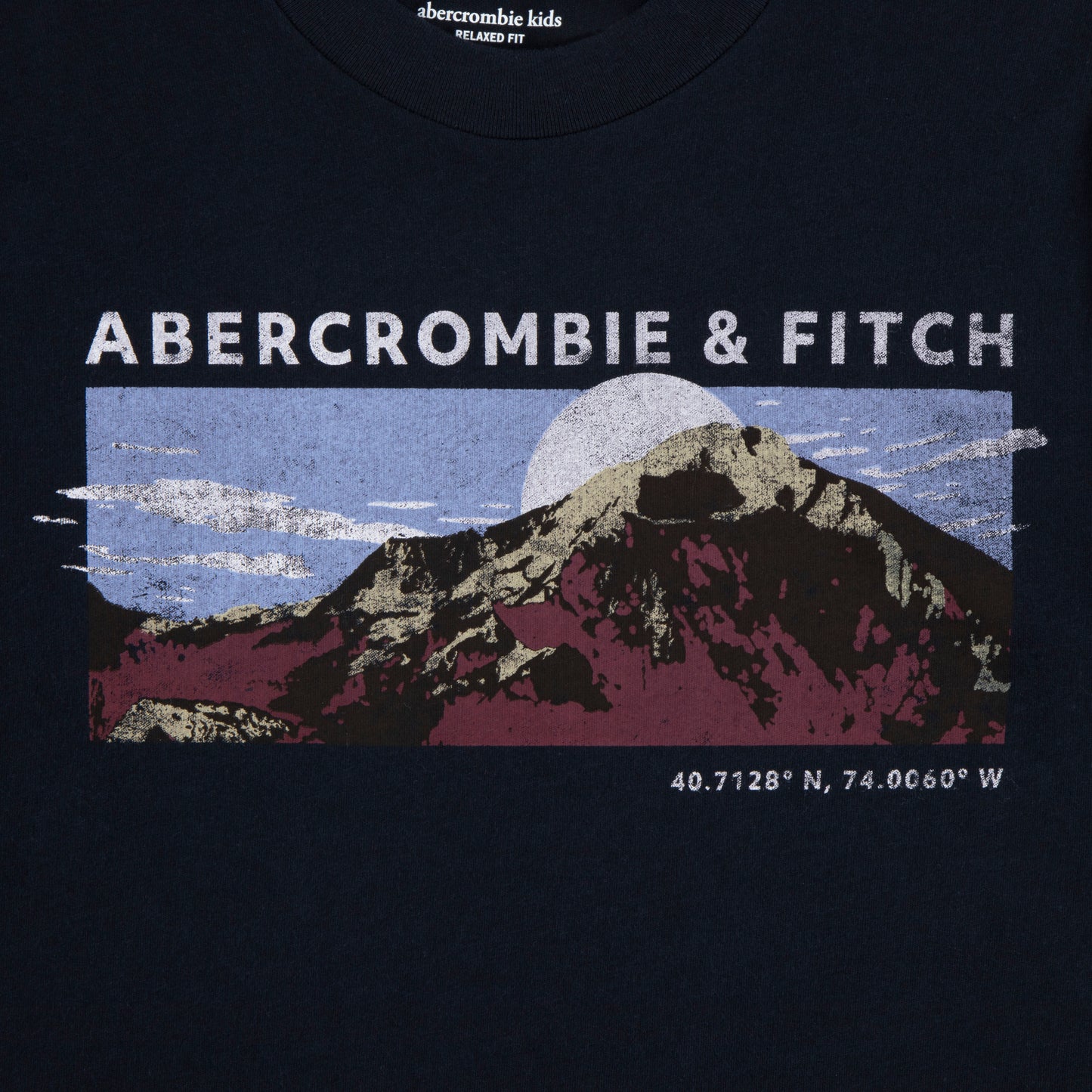 【110-170cm】 Tシャツ A&F(アバクロンビー&フィッチ) AFB MOUNTAIN RANGE LS TEE