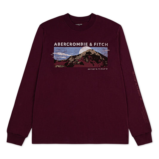 【110-170cm】 Tシャツ A&F(アバクロンビー&フィッチ) AFB MOUNTAIN RANGE LS TEE