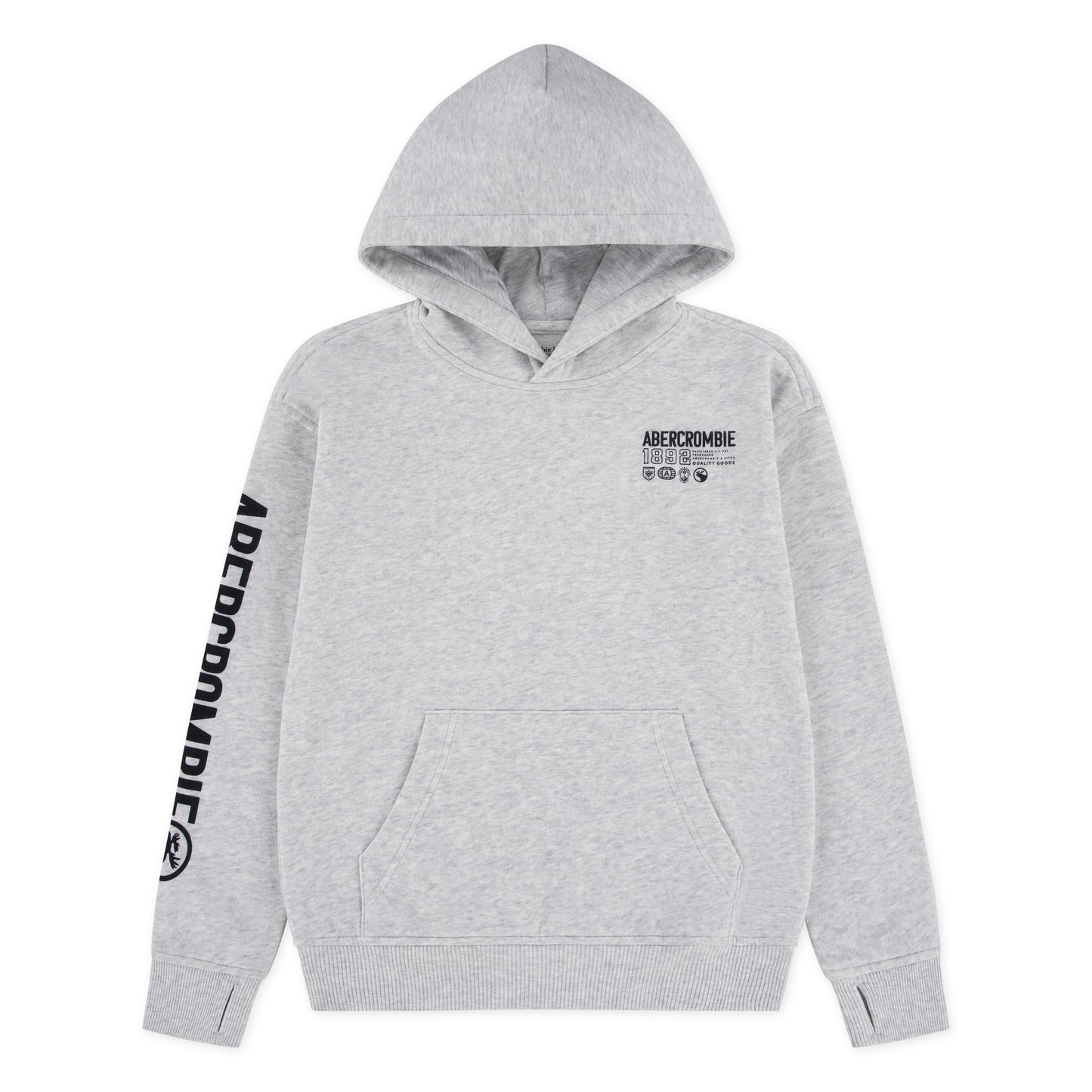 【110-170cm】 トレーナー/パーカー A&F(アバクロンビー&フィッチ) AFB SCENIC FASHION HOODIE