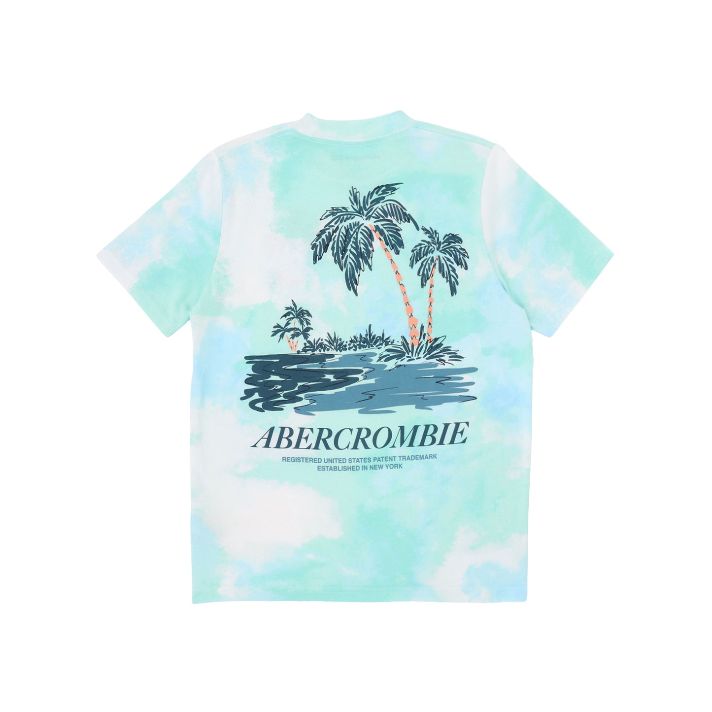 【110-170cm】  A&F(アバクロンビー&フィッチ) 半袖Tシャツ AFB PALM SPRINGS TEE