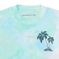 【110-170cm】  A&F(アバクロンビー&フィッチ) 半袖Tシャツ AFB PALM SPRINGS TEE