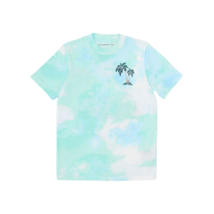 【110-170cm】  A&F(アバクロンビー&フィッチ) 半袖Tシャツ AFB PALM SPRINGS TEE