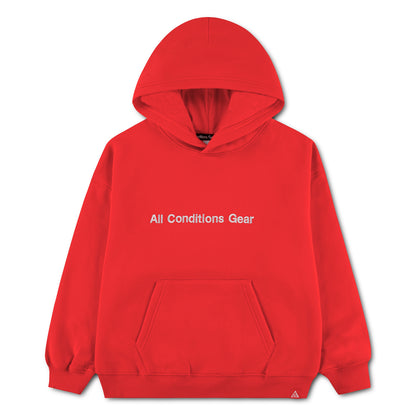 ジュニア(130-170cm) NIKE ACG (ナイキ) パーカー ACB B ACG GFX PEAKY FLEECE HOO