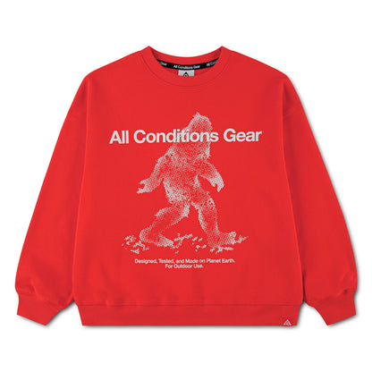 ジュニア(130-170cm) NIKE ACG (ナイキ) スエットシャツ ACB B ACG  YETI CREW NECK FLEE