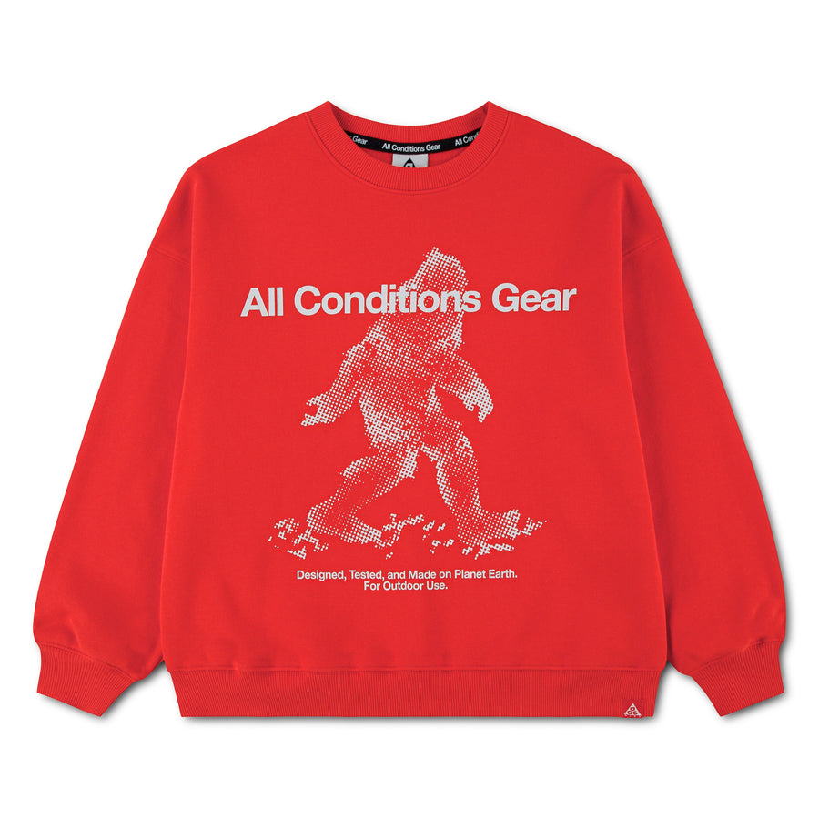 ジュニア(130-170cm) NIKE ACG (ナイキ) スエットシャツ ACB B ACG  YETI CREW NECK FLEE
