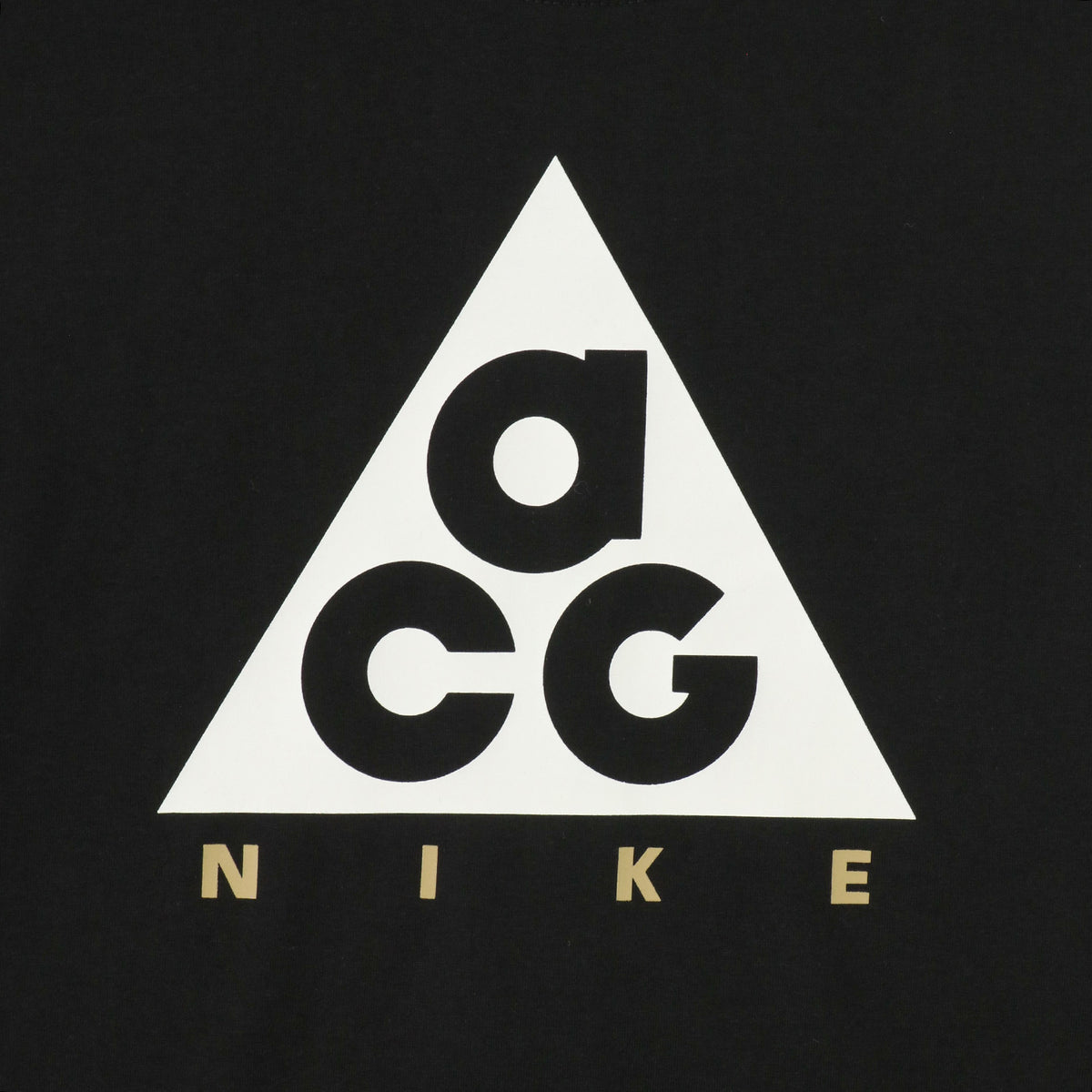 ジュニア(130-170cm) NIKE ACG (ナイキ) 長袖Tシャツ ACN N ACG HBR LS JERSEY TEE