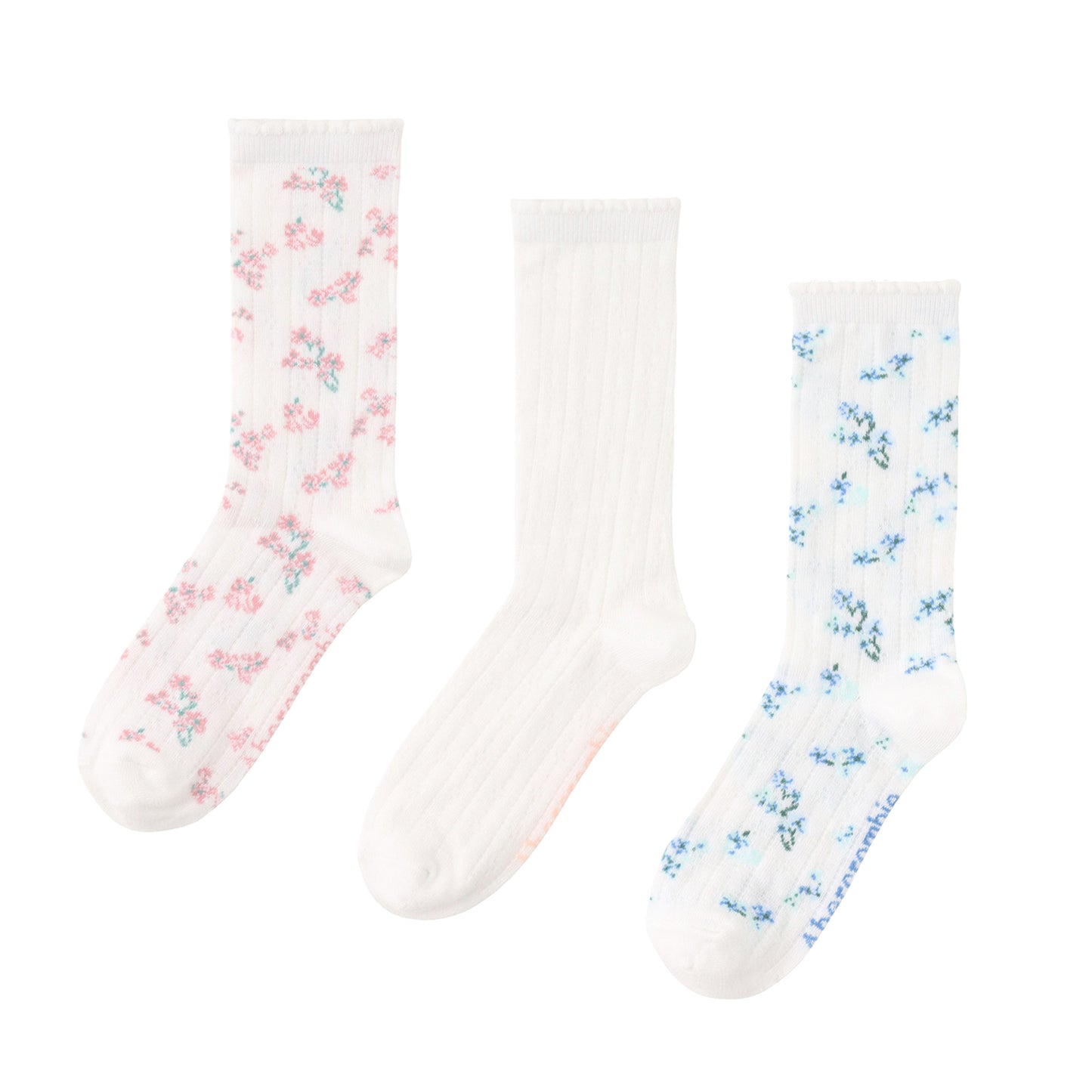 ソックス(23-25cm)  A&F(アバクロンビー&フィッチ) AFHG 3PK FLORAL POINTELLE CREW